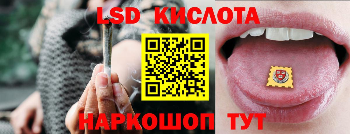 LSD-25 экстази кислота  Лсд 25 экстази  Вход с VPN  Камышлов  LSD-25 экстази кислота 