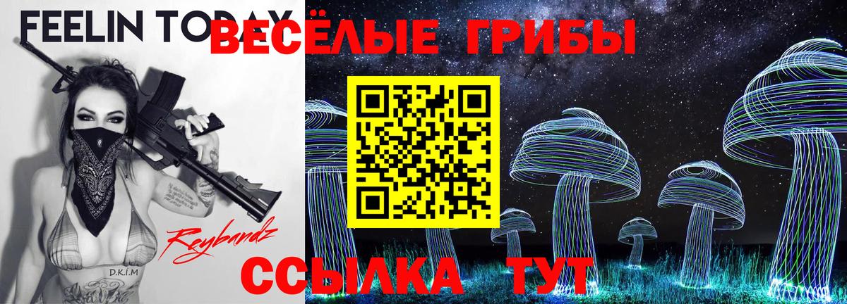 Псилоцибиновые грибы GOLDEN TEACHER  Вход с VPN  Камышлов 