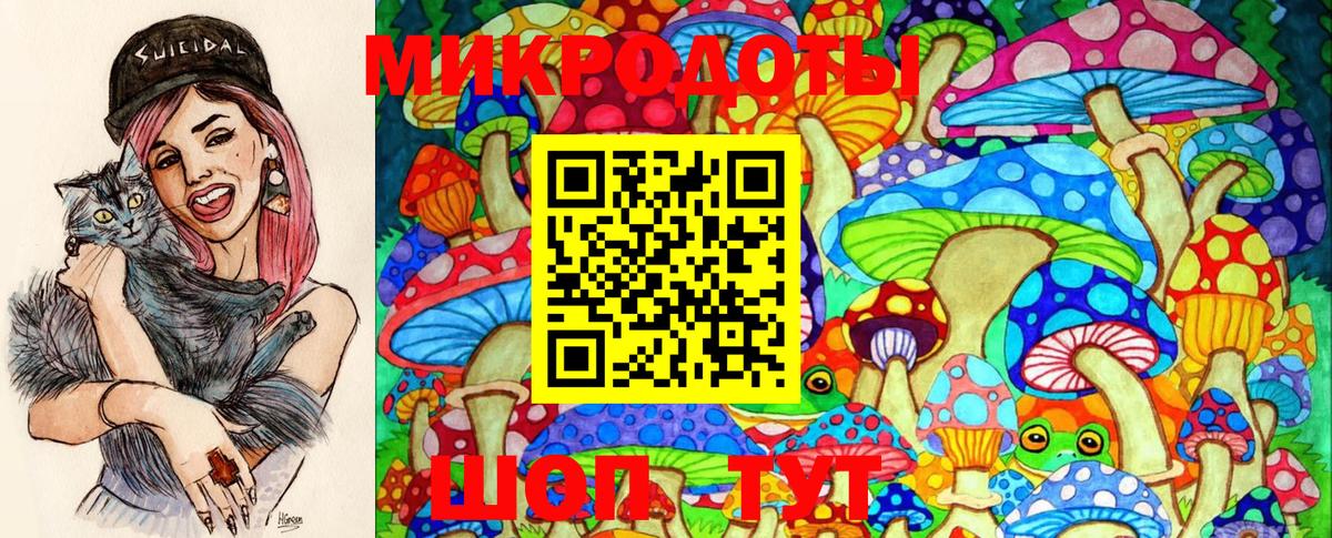 Псилоцибиновые грибы Psilocybe Камышлов